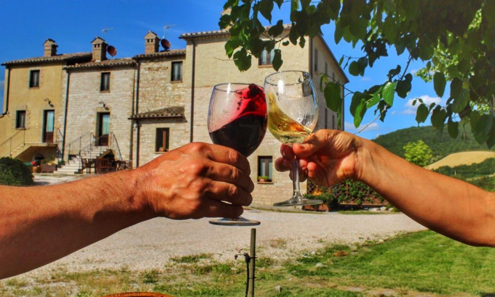 foto due braccia che alzano calici di vino