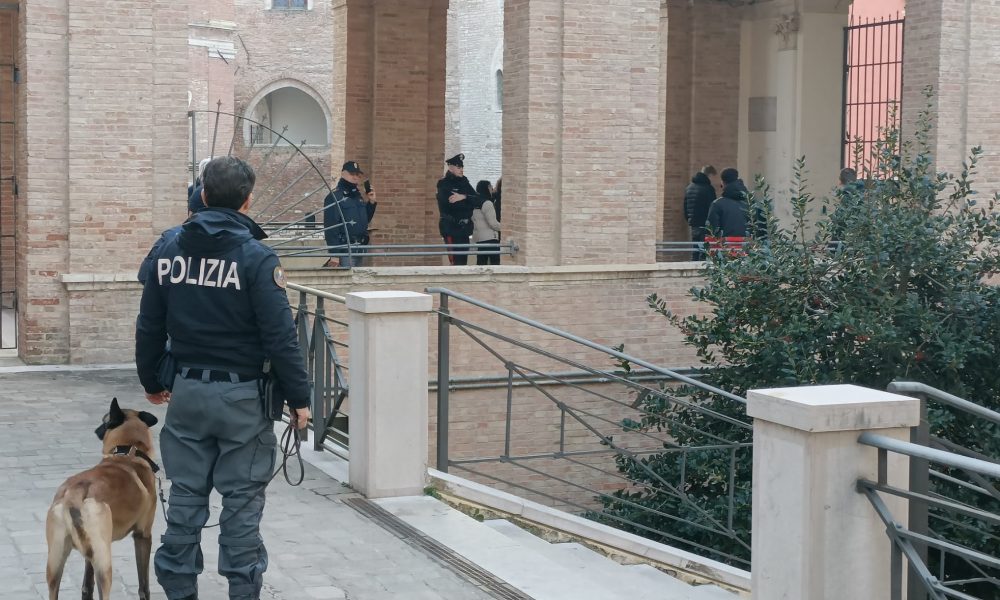 cani cinofili fabriano polizia