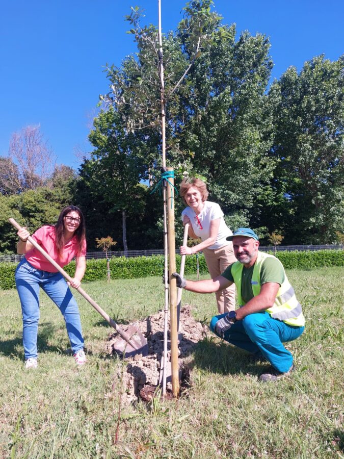 giornata mondiale dell'Ambiente, Comune, MMS e scuole la celebrano piantando nuovi alberi4