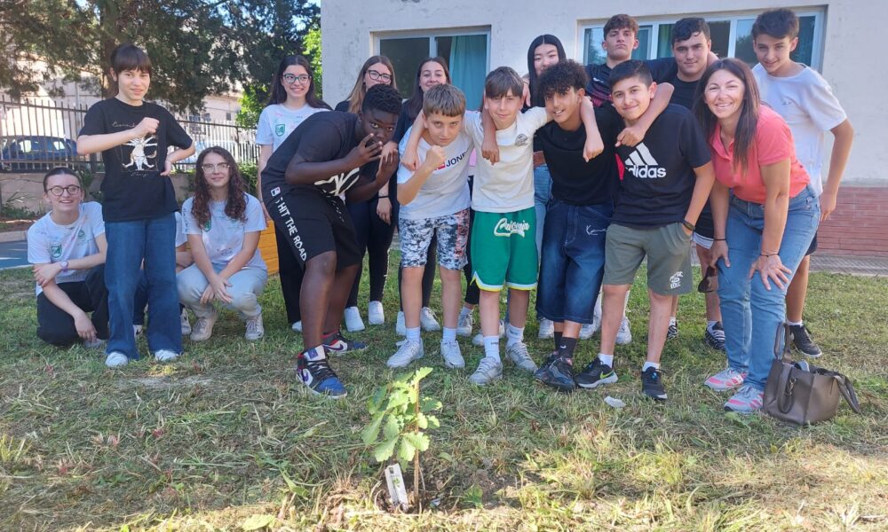 giornata mondiale dell'Ambiente, Comune, MMS e scuole la celebrano piantando nuovi alberi4