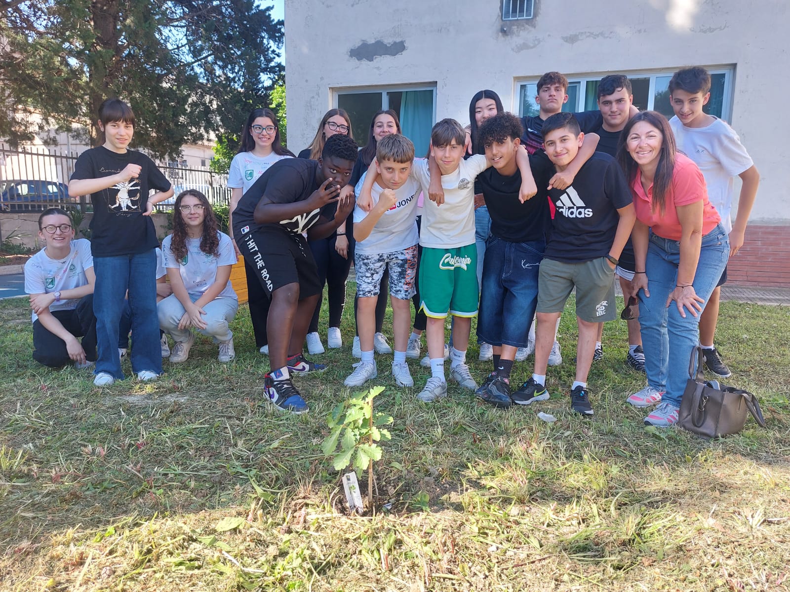 giornata mondiale dell'Ambiente, Comune, MMS e scuole la celebrano piantando nuovi alberi4