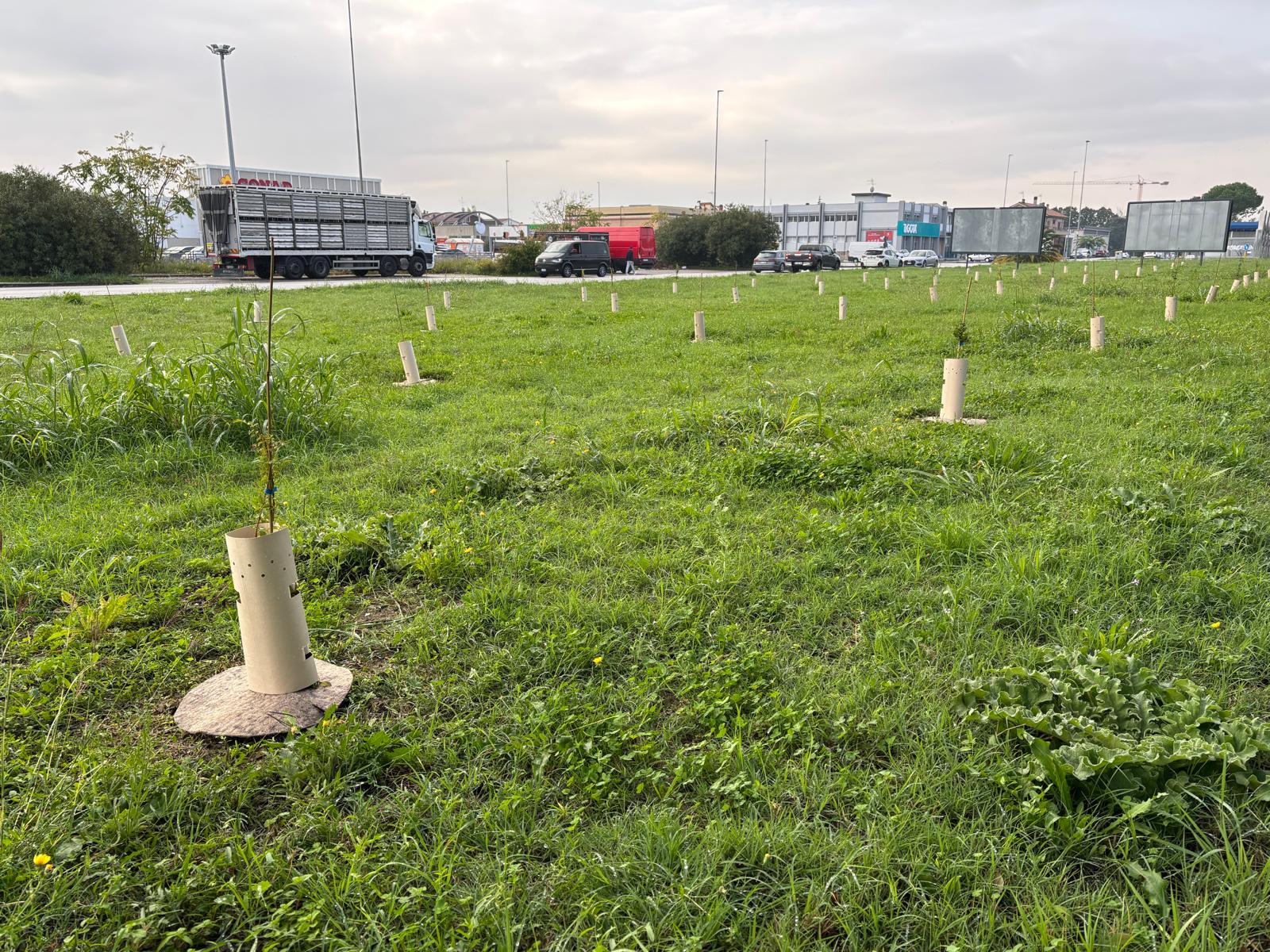 Al via la forestazione urbana a Jesi con il progetto “Parco Italia”