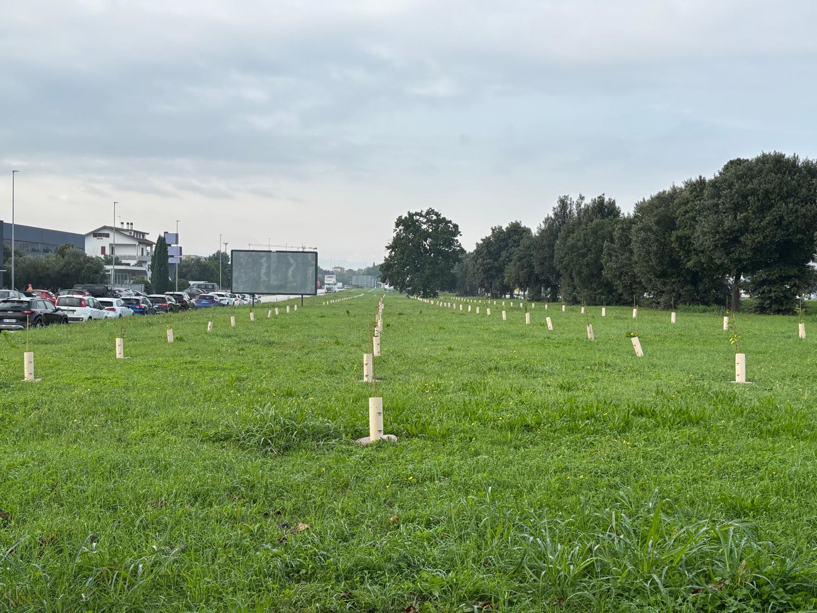 Al via la forestazione urbana a Jesi con il progetto “Parco Italia”